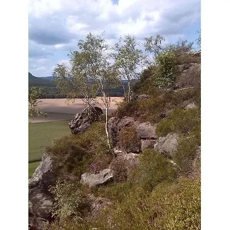 Wendischhof *